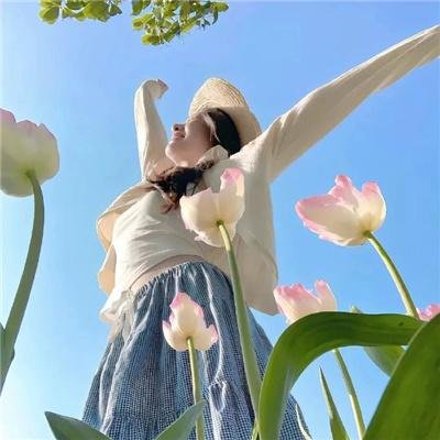 牵牛的夏天